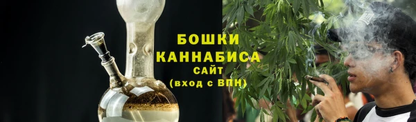 хмурый Белокуриха
