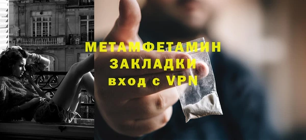 прущие грибы Беломорск