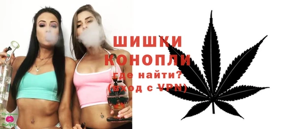 хмурый Белокуриха