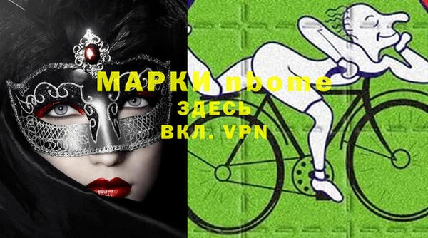 хмурый Белокуриха
